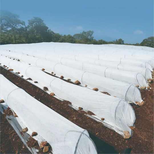 23 gsm UV treated Non Woven — Favourite Fab