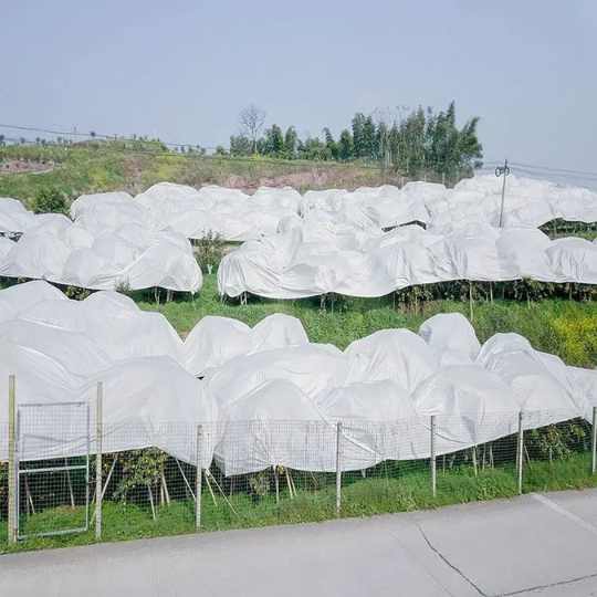 Shed Net Non Woven Fabric view 2