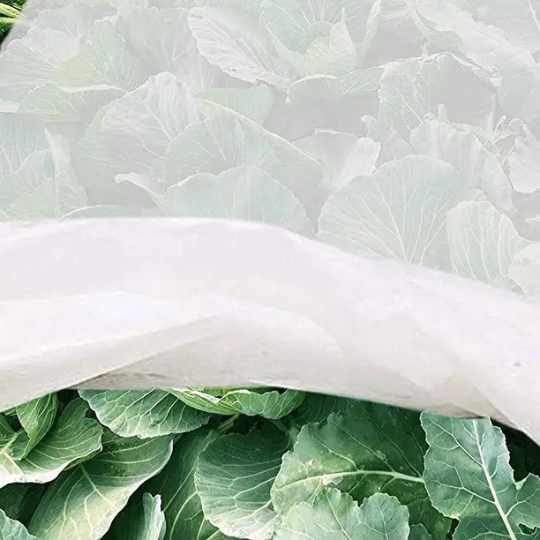 Agricultrue Non Woven view 2