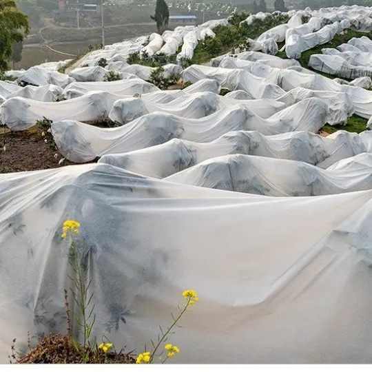 17 gsm UV treated Non Woven view 2