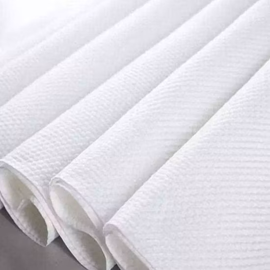 Biodegradable Spunlace Fabric